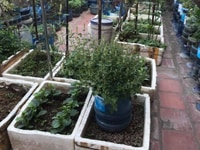 Phân lô, ngõ thông, ô tô, kinh doanh sầm uất. S 78m2x5 tầng 10,6 tỷ