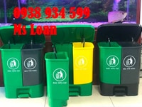 Thùng phân loại rác 2 ngăn 40 lít đạp chân giá rẻ tại HCM Thùng phân loại rác 2 ngăn 40 lít đạp chân giá rẻ tại HCM