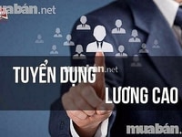 Việc làm tại Bình Chánh và Bình Tân - làm giờ hành chính ưu tiên cho s Việc làm tại Bình Chánh và Bình Tân - làm giờ hành chính ưu tiên cho s