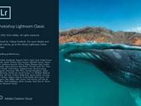 Bộ phần mềm Adobe Lightroom Classic CC 2020 bản quyền Bộ phần mềm Adobe Lightroom Classic CC 2020 bản quyền