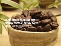 Cà phê hạt rang xay nguyên chất hỗ trợ giá sỉ đặc biệt tại TpHcm Cà phê hạt rang xay nguyên chất hỗ trợ giá sỉ đặc biệt tại TpHcm
