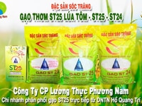 Gạo ST25 lúa tôm 5kg chính hãng ( vụ mùa Tết mới có ) Gạo ST25 lúa tôm 5kg chính hãng ( vụ mùa Tết mới có )