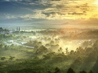 Không đủ tiền cho con du học gia đình cần bán gấp đất xây farmstay 550 Không đủ tiền cho con du học gia đình cần bán gấp đất xây farmstay 550