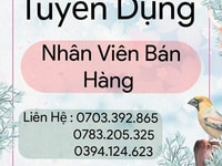 Siêu Thị trực tiếp, cần 02 nam nữ làm giờ hành chánh Siêu Thị trực tiếp, cần 02 nam nữ làm giờ hành chánh