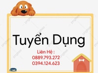 Cần tuyển nhân viên bán hàng tại siêu thị mini.trên 20 tuổi Cần tuyển nhân viên bán hàng tại siêu thị mini.trên 20 tuổi