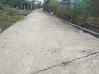 Bán 1.800m2 đất thổ cư , xã Nhật Ninh huyên Tân trụ, Long an Bán 1.800m2 đất thổ cư , xã Nhật Ninh huyên Tân trụ, Long an