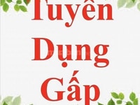 Nhận thêm 02 nam/nữ làm việc trong Cửa Hàng Tiện Lợi. Nhận thêm 02 nam/nữ làm việc trong Cửa Hàng Tiện Lợi.