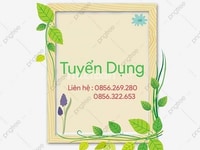 Cần lao động phổ thông phụ đóng gói hàng và hỗ trợ bán hàng Cần lao động phổ thông phụ đóng gói hàng và hỗ trợ bán hàng