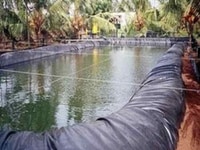 Màng chống thấm hdpe giá rẻ cho bà con nuôi chồng thủy sản Màng chống thấm hdpe giá rẻ cho bà con nuôi chồng thủy sản