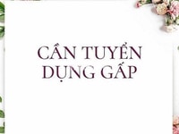 Siêu thị 24h cần bổ sung thêm 4 vị trí làm việc Siêu thị 24h cần bổ sung thêm 4 vị trí làm việc
