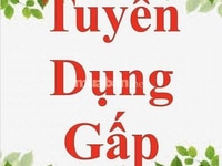 Tuyển 03 nhân viên bán hàng công việc phù hợp anh chị cao tuổi Tuyển 03 nhân viên bán hàng công việc phù hợp anh chị cao tuổi