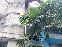 Cho thuê nhà mặt tiền 42 Hoàng Kim Giao, Phường 5, Quận 8