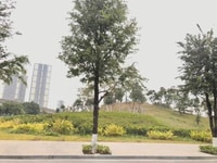 Bán ngay Lô Góc 3 thoáng Cự Lộc Thanh Xuân 46m 4T ROYAL CITY hơn 4 tỷ Bán ngay Lô Góc 3 thoáng Cự Lộc Thanh Xuân 46m 4T ROYAL CITY hơn 4 tỷ