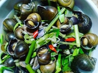 Em cần người chăm Bà 75 tuổi,chỉ làm việc liên quan bà ăn ở lại nhà em Em cần người chăm Bà 75 tuổi,chỉ làm việc liên quan bà ăn ở lại nhà em