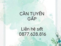 Công việc dành cho người từ 20-50 tuổi thất nghiệp sau Tết Công việc dành cho người từ 20-50 tuổi thất nghiệp sau Tết