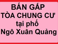Bán gấp tòa chung cư tại phố Ngô Xuân Quảng, Trâu Quỳ, Hà Nội Bán gấp tòa chung cư tại phố Ngô Xuân Quảng, Trâu Quỳ, Hà Nội