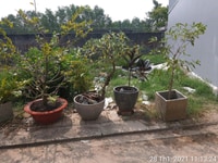 Bán đất TC hẻm đường Trường Lưu phường Long Trường Bán đất TC hẻm đường Trường Lưu phường Long Trường
