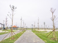Cần Bán lô đất nền biệt thự Ngọc Dương Riverside Mặt tiền sông Cổ Cò Cần Bán lô đất nền biệt thự Ngọc Dương Riverside Mặt tiền sông Cổ Cò