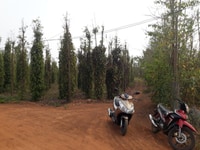 Bán Đất giáp hồ sông ray. view hồ đẹp và mát mẻ. Bán Đất giáp hồ sông ray. view hồ đẹp và mát mẻ.
