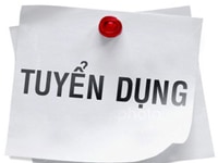 Gia Lai_Tuyển Dụng Tài Xế Phụ Kho Và Phụ Lơ Giao Hàng Gia Lai_Tuyển Dụng Tài Xế Phụ Kho Và Phụ Lơ Giao Hàng