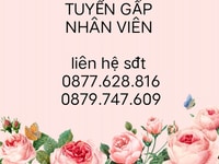 Tuyển dụng độ tuổi từ đủ 18 đến 55 tuổi. Tuyển dụng độ tuổi từ đủ 18 đến 55 tuổi.