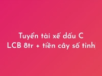 Tuyển tài xế chạy xe tải tư nhân, dấu C, LCB 7tr/th + tiền cây số Tỉnh Tuyển tài xế chạy xe tải tư nhân, dấu C, LCB 7tr/th + tiền cây số Tỉnh
