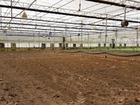 Bán đất 56ha ở Lạc Dương ,Đà Lạt Xã Đạ Nhim, Lâm Đồng gía 222 tỷ Bán đất 56ha ở Lạc Dương ,Đà Lạt Xã Đạ Nhim, Lâm Đồng gía 222 tỷ