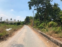 Lô 82.8m2 An Phú Đông (gần sông Sài Gòn), Q12 Lô 82.8m2 An Phú Đông (gần sông Sài Gòn), Q12
