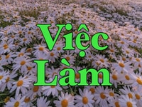 Việc làm partime tại đại lí Hóc Môn công việc Bán Hàng Việc làm partime tại đại lí Hóc Môn công việc Bán Hàng