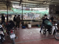 Lái xe kiêm bán cá giống và có việc gì làm việc đó Lái xe kiêm bán cá giống và có việc gì làm việc đó
