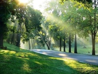 BIỆT THỰ ĐẢO ECOPARK – còn Duy Nhất 01 căn 450m² Vị trí Cực Đẹp! BIỆT THỰ ĐẢO ECOPARK – còn Duy Nhất 01 căn 450m² Vị trí Cực Đẹp!