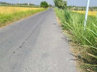 Đất lúa mặt tiền lộ đá mi lên cây lâu năm , Đất lúa mặt tiền lộ đá mi lên cây lâu năm ,