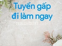 Chi nhánh siêu thị đang cần nhận nhân viên sắp xếp hàng hóa lên kệ Chi nhánh siêu thị đang cần nhận nhân viên sắp xếp hàng hóa lên kệ