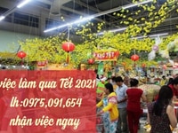 Việc làm Gò Vấp: Cần Nữ phụ sắp xếp đóng gói sản phẩm Việc làm Gò Vấp: Cần Nữ phụ sắp xếp đóng gói sản phẩm