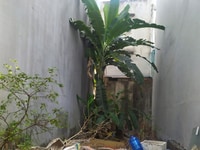 Bán lô đất hẻm 8m thông Bình Lợi , 4.5*15 , 7.3 tỷ , sổ hồng Bán lô đất hẻm 8m thông Bình Lợi , 4.5*15 , 7.3 tỷ , sổ hồng