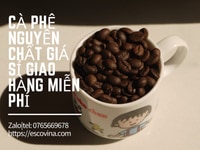 Cà phê nguyên chất giá sỉ giao miễn phí ở Thuận An Cà phê nguyên chất giá sỉ giao miễn phí ở Thuận An