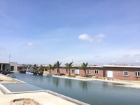 Bán gấp đất ven biển Xuân Thành , Nghi Xuân, Hà Tĩnh Bán gấp đất ven biển Xuân Thành , Nghi Xuân, Hà Tĩnh