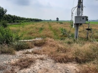Cần bán 6.000m2 đất lúa (có thổ 600m2+nhà cấp 4) giá rẻ Thủ Thừa Cần bán 6.000m2 đất lúa (có thổ 600m2+nhà cấp 4) giá rẻ Thủ Thừa