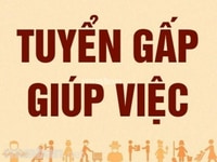 Cần tuyển nữ giúp việc nhà, nấu ăn cho gia đình 6 người