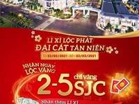 Vì sao mua đất sân bay Long thành??? Vì sao mua đất sân bay Long thành???