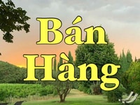 Quận Thủ Đức tuyển nhân viên phụ Bán Hàng cho chi nhánh Quận Thủ Đức tuyển nhân viên phụ Bán Hàng cho chi nhánh