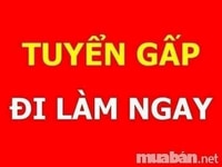 Tuyển dụng gấp nhân sự đầu năm Tuyển dụng gấp nhân sự đầu năm