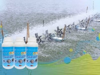 Bán Sỉ Chế Phẩm Sinh Học Nano Ag 1000ppm Bán Sỉ Chế Phẩm Sinh Học Nano Ag 1000ppm