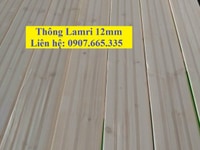 Giá gỗ thông nhập khẩu 2021 tại Đồng Nai Giá gỗ thông nhập khẩu 2021 tại Đồng Nai