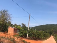 Đất đẹp tại phi tô có nhiều cây ăn trái trên đất Đất đẹp tại phi tô có nhiều cây ăn trái trên đất