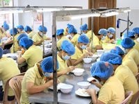 Tuyển công nhân nhặt lông tổ yến