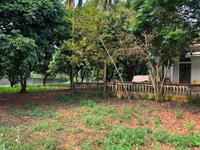 Cần bán gấp mảnh nhà vườn 5800m có 800m thổ cư Cần bán gấp mảnh nhà vườn 5800m có 800m thổ cư