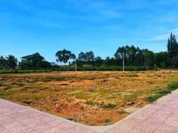 Cần bán nhanh lô đất ngay cây xăng xã Hành Trung huyện Nghĩa Hành Cần bán nhanh lô đất ngay cây xăng xã Hành Trung huyện Nghĩa Hành