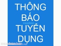 Tuyển nam nữ văn phòng nhập liệu Tuyển nam nữ văn phòng nhập liệu