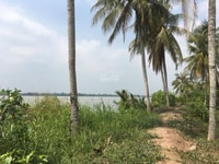 Bán 3.5 công đất 2 mật tiền, mặt sông Cổ Chiên 60m, 1.5 tỷ / công Bán 3.5 công đất 2 mật tiền, mặt sông Cổ Chiên 60m, 1.5 tỷ / công